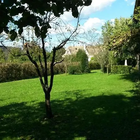 Lovely With Garden *